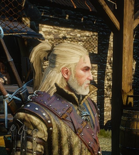 Mod Request Rivian Hairstyle - The Witcher 3 Mod Talk ...