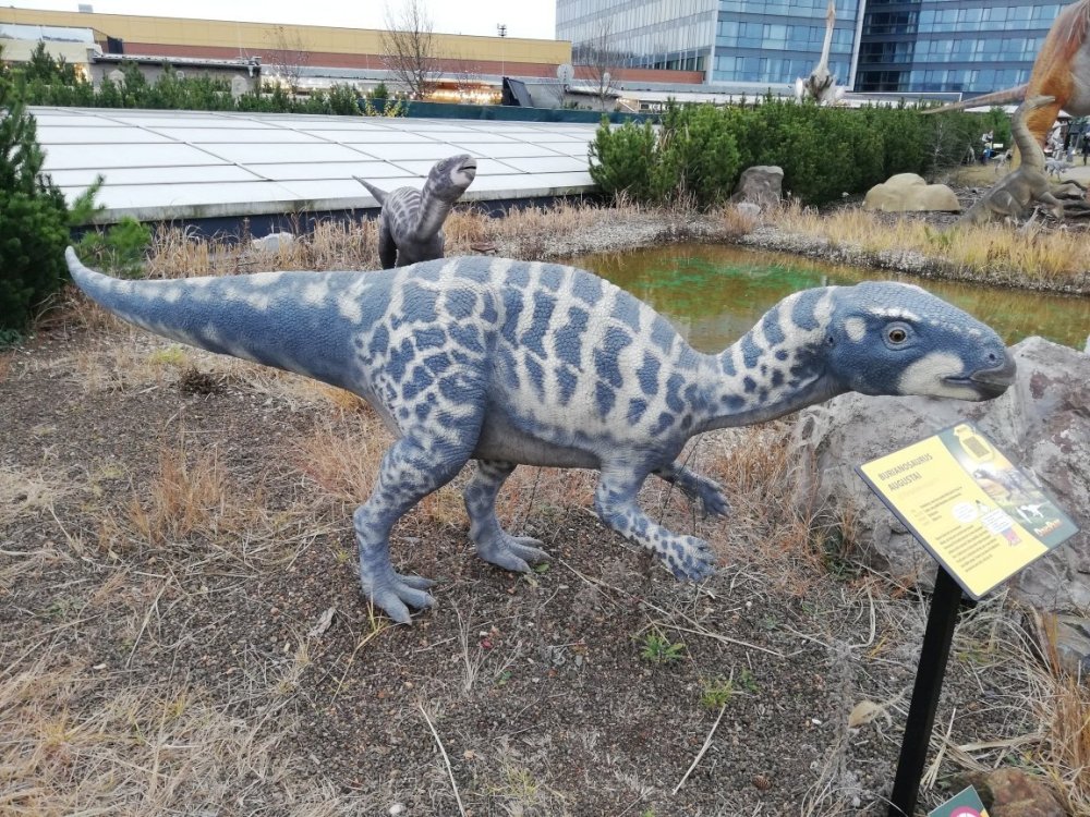 Burianosaurus_Augustai_OC_Harfa_Prahas.thumb.jpg.402628746143466164a725d3fc8849fb.jpg
