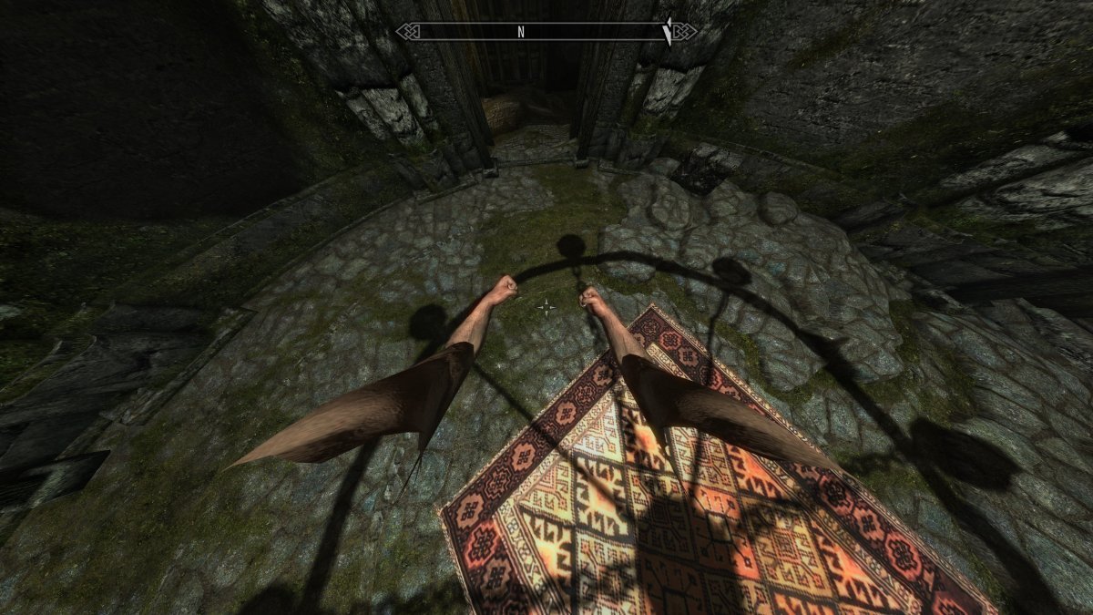 Visible body in first person on only high elf and wood elf body no mods -  Mod Troubleshooting - Nexus Mods Forums