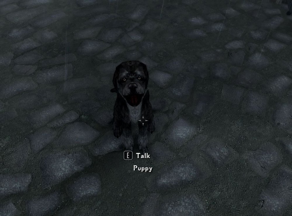 skyrim puppy.jpg