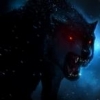 darkwolves321 darkwolves321