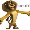 cicimba cicimba
